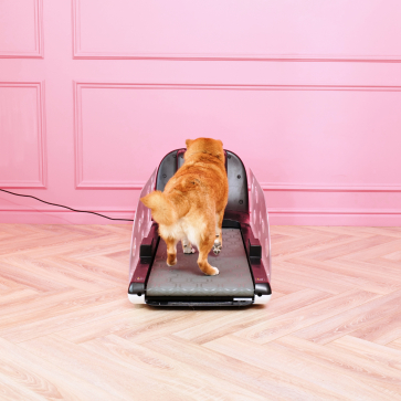 Беговая дорожка Yesoul для собак - 10